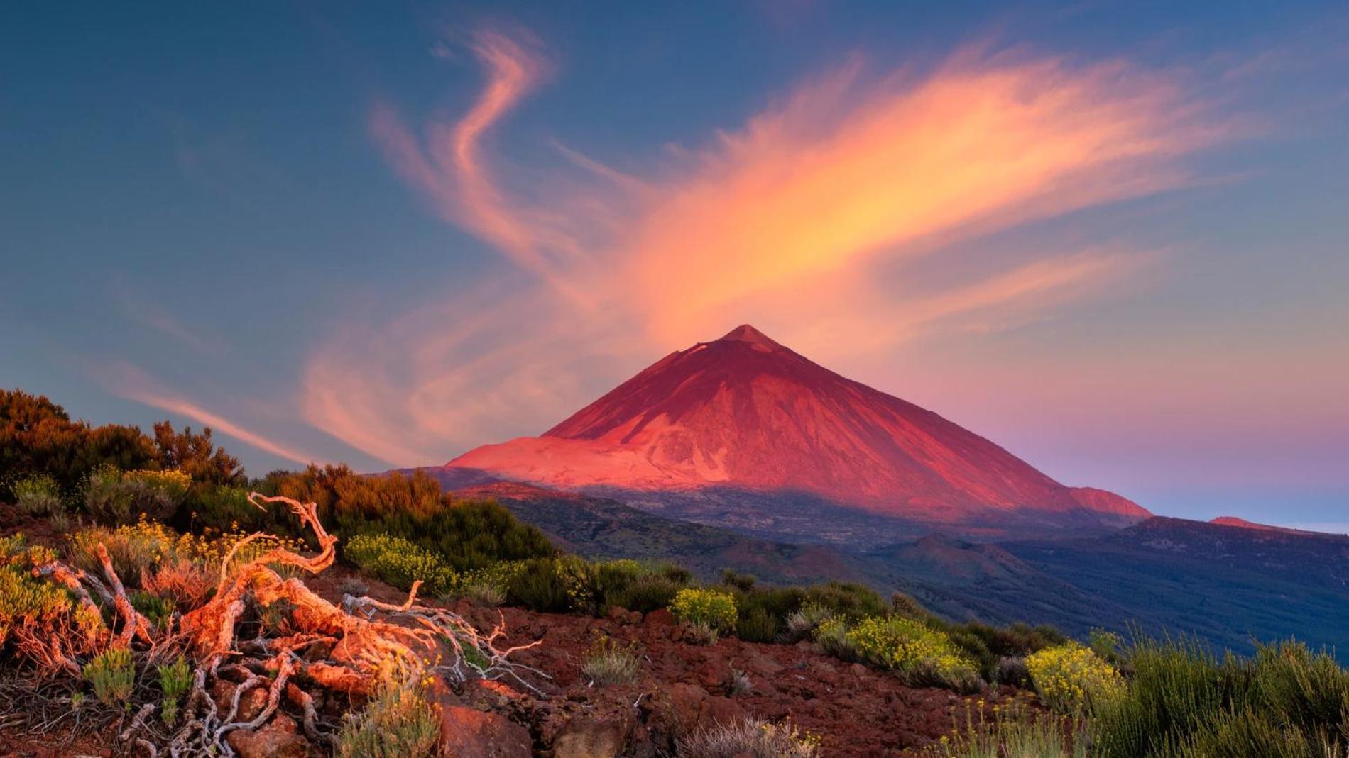 Las Palmeras Puertito de Guimar Eksteriør bilde